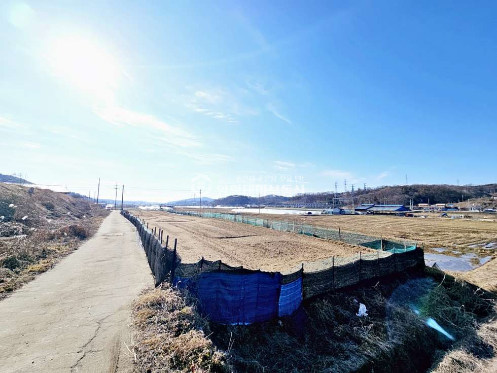 경기 양평군 지평면 옥현리 옥현리 매매 1억7천3백만원(평당 35만원) 매매 매물번호 10651 사진 9