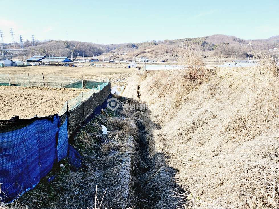 경기 양평군 지평면 옥현리 옥현리 매매 1억7천3백만원(평당 35만원) 매매 매물번호 10651 사진 10