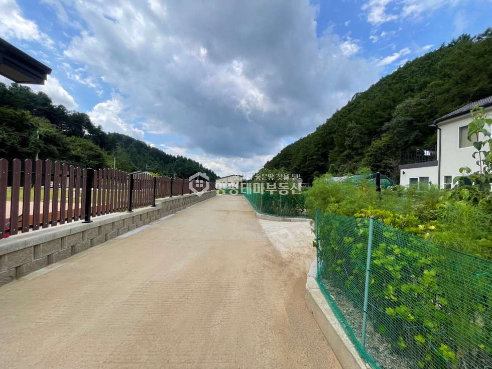 경기 양평군 단월면 부안리 부안리 매매 1억2천3백1십만원(평당 55만원) 매매 매물번호 10636 사진 2