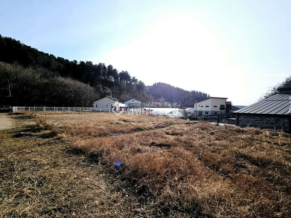 경기 양평군 단월면 부안리 부안리 매매 1억2천3백1십만원(평당 55만원) 매매 매물번호 10636 사진 3