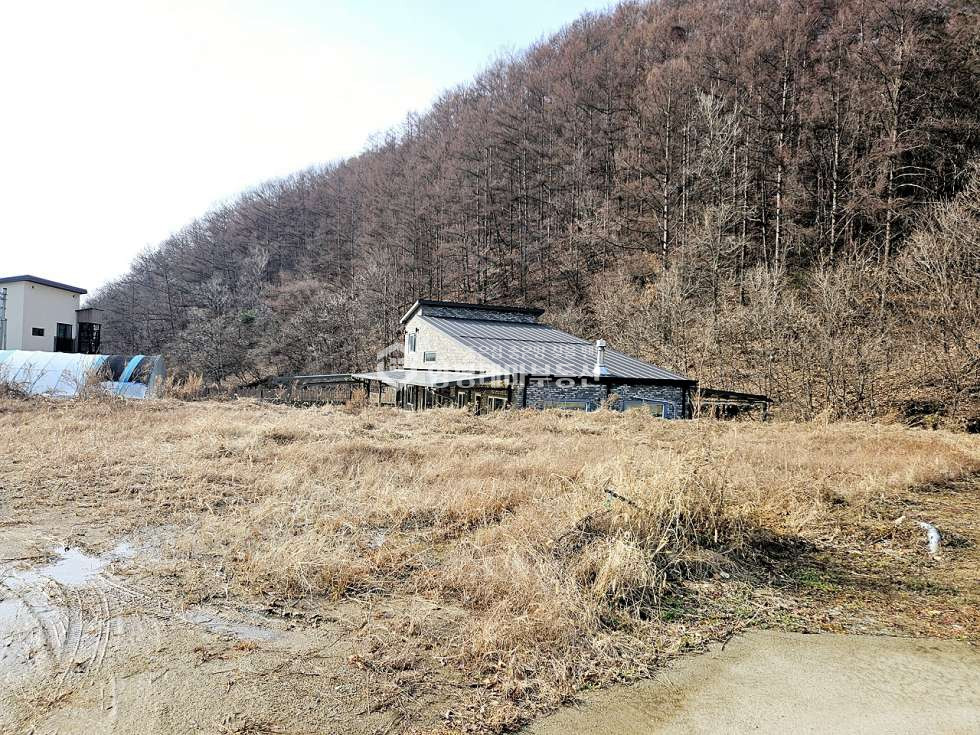 경기 양평군 단월면 부안리 부안리 매매 1억2천3백1십만원(평당 55만원) 매매 매물번호 10636 사진 7