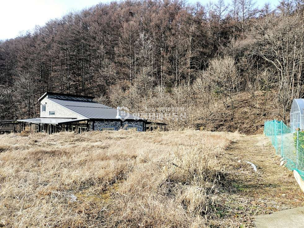 경기 양평군 단월면 부안리 부안리 매매 1억2천3백1십만원(평당 55만원) 매매 매물번호 10636 사진 8
