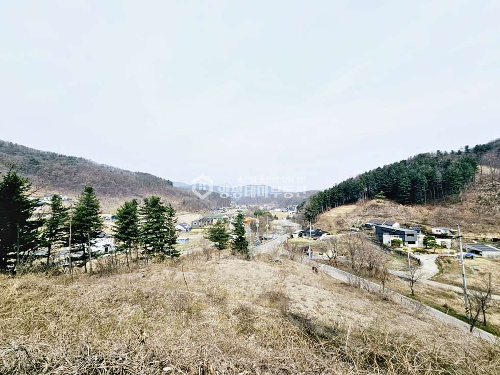 경기 양평군 강하면 항금리 항금리 매매 5억 5천만원(평당 68만원) 매매 매물번호 10912 사진 1