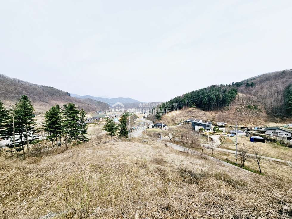 경기 양평군 강하면 항금리 항금리 매매 5억 5천만원(평당 68만원) 매매 매물번호 10912 사진 4
