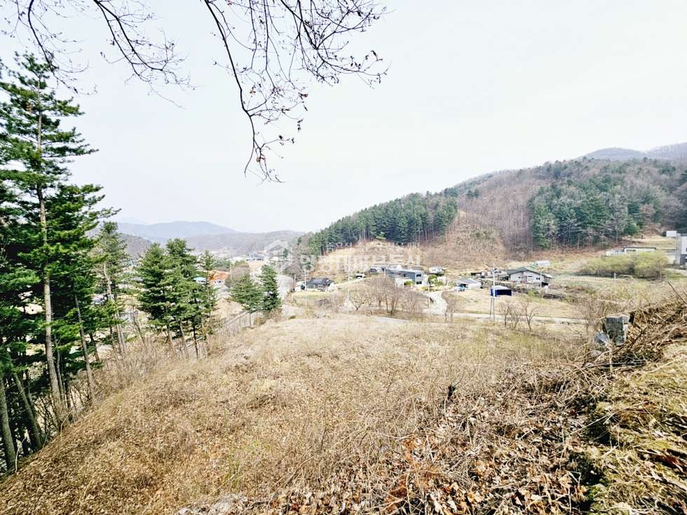 경기 양평군 강하면 항금리 항금리 매매 5억 5천만원(평당 68만원) 매매 매물번호 10912 사진 6