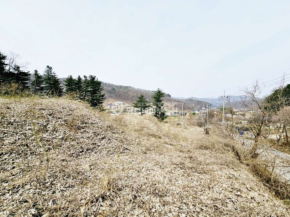경기 양평군 강하면 항금리 항금리 매매 5억 5천만원(평당 68만원) 매매 매물번호 10912 사진 7