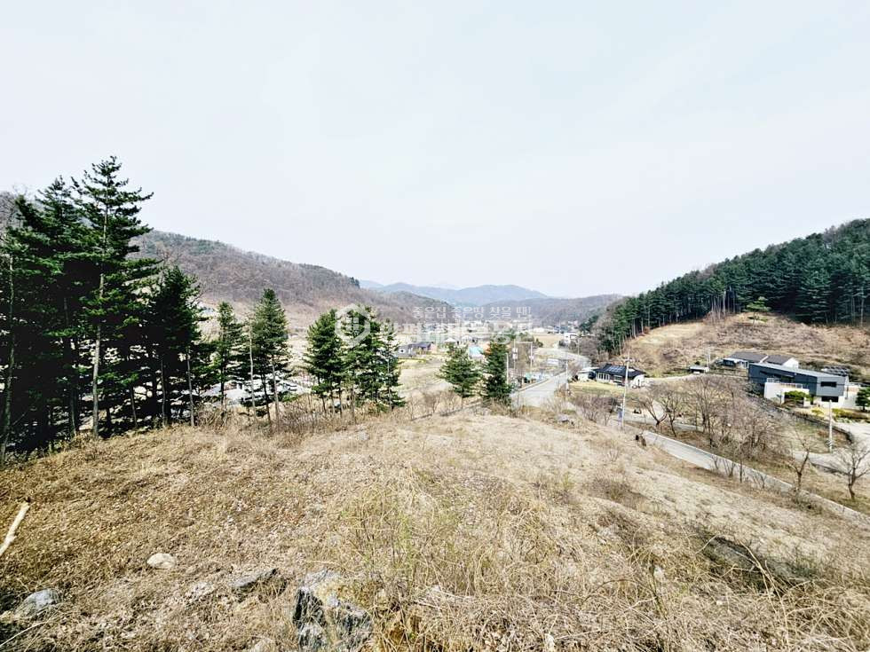 경기 양평군 강하면 항금리 항금리 매매 5억 5천만원(평당 68만원) 매매 매물번호 10912 사진 16