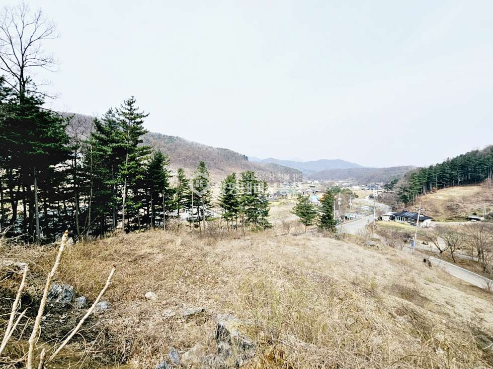 경기 양평군 강하면 항금리 항금리 매매 5억 5천만원(평당 68만원) 매매 매물번호 10912 사진 18