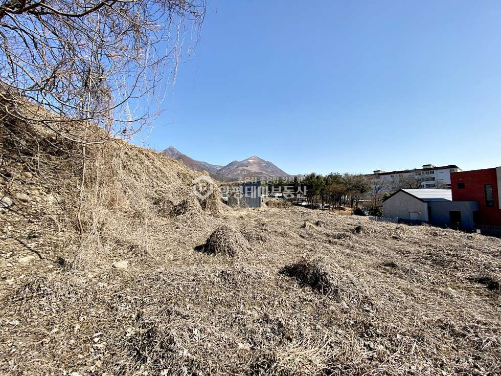 경기 양평군 옥천면 용천리 용천리 편안한 도로와 조망권좋은 귀농귀촌 전원주택지 매매 매물번호 10333 사진 38