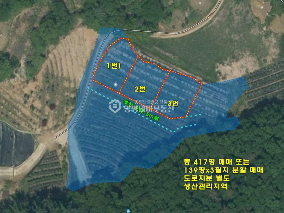 경기 양평군 청운면 비룡리 비룡리 매매 5천1백만원 매매 매물번호 11260 사진 2