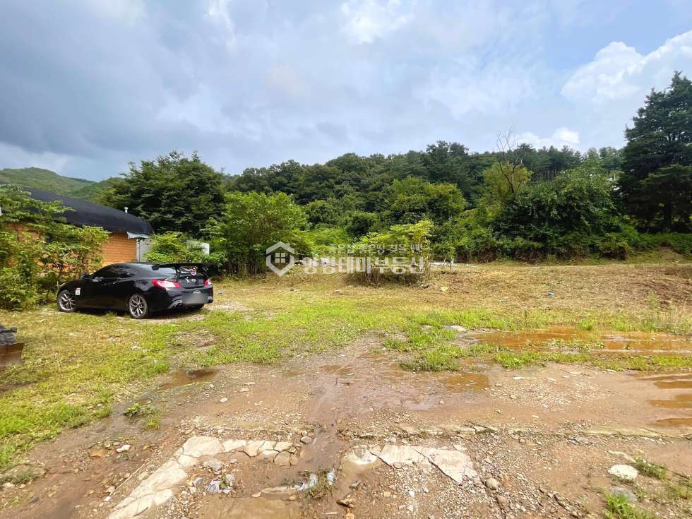 경기 양평군 양서면 증동리 평탄지 나대지 오래된 느티나무앞 토지매매 매매 매물번호 10182 사진 7