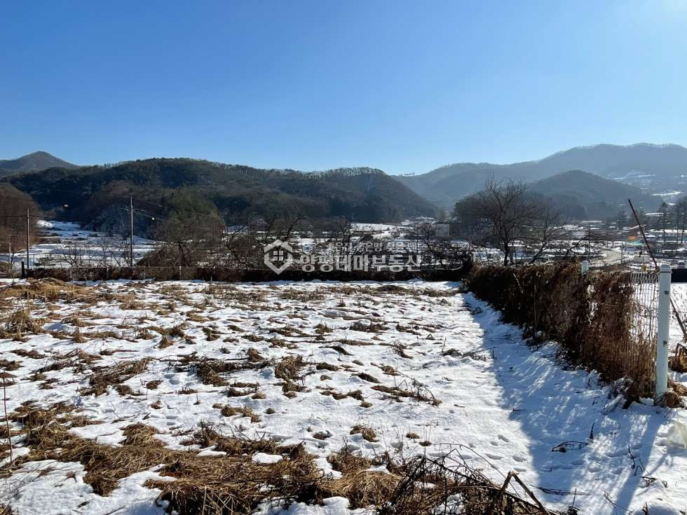 경기 양평군 양동면 고송리 [접근성 뛰어남!] 개울접한 한적한 주말농장 토지 매매 매물번호 10286 사진 10