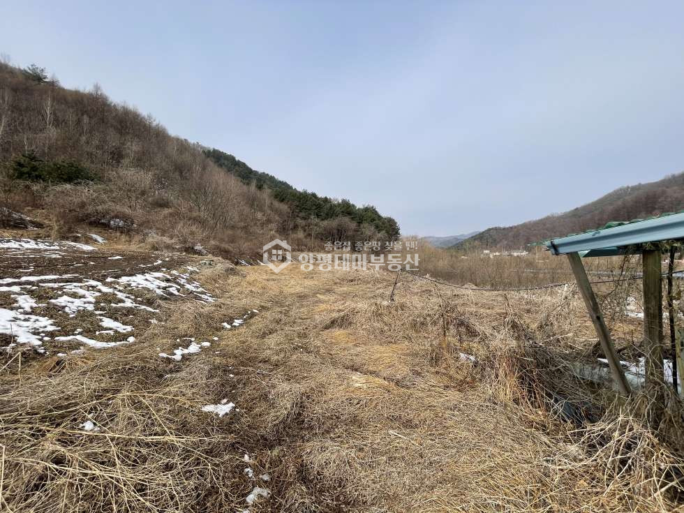 경기 양평군 단월면 명성리 [평당23만] 국유지도로 .국유림 접한 788평 농지 급매물 매매 매물번호 10342 사진 12
