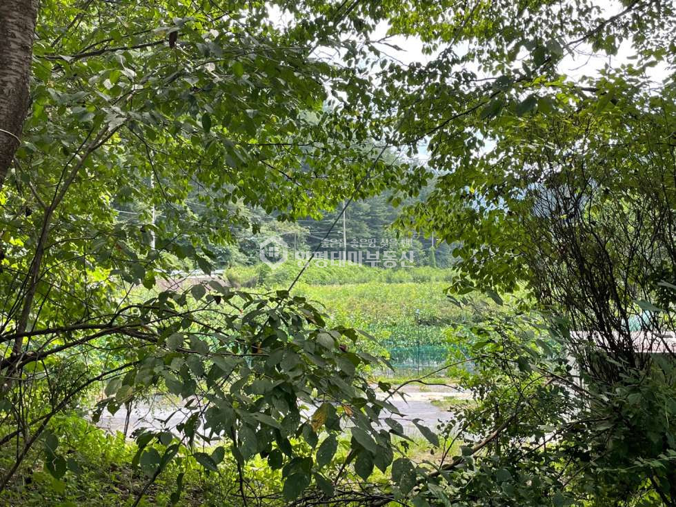 경기 양평군 청운면 가현리 [평당35만] 체류형쉼터.전원 주택건축 모두가능한 전체 개울접한 반값 토지 매매 매물번호 10456 사진 10