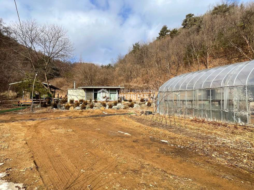 경기 양평군 청운면 여물리 [양평농막토지] 60만평 국유림속 농막과 텃밭 매매. 매매 매물번호 10029 사진 4