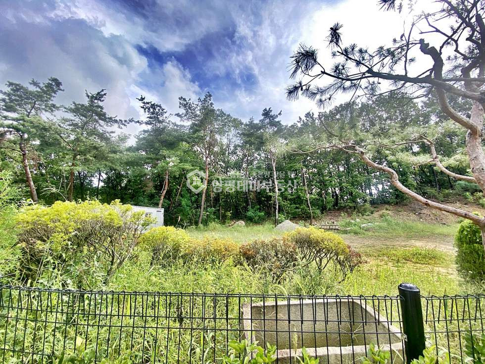 경기 양평군 양서면 증동리 국수역 가까운 주택수 미포함 너무멋진 세컨하우스! 매매 매물번호 10480 사진 12