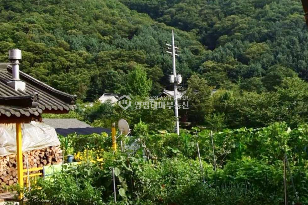 경기 양평군 양서면 목왕리 주건축물제1동 목왕리= 매매 매물번호 10485 사진 3